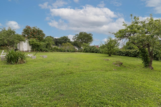 213 Easton Ave, Waterbury, CT 06704 - view of green lawn featuring a storage unit