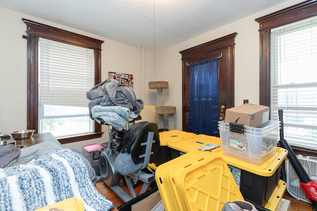 213 Easton Ave, Waterbury, CT 06704 - bedroom featuring multiple windows and wood finished floors