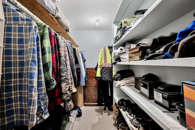 412 Goshen Rd, Litchfield, CT 06759 - spacious closet featuring carpet