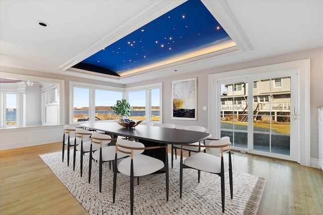 33 Palmer Rd, Waterford, CT 06385 - dining room with a tray ceiling and light wood-type flooring