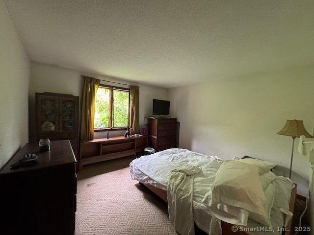 77 Plains Rd, Windham, CT 06280 - bedroom with carpet floors