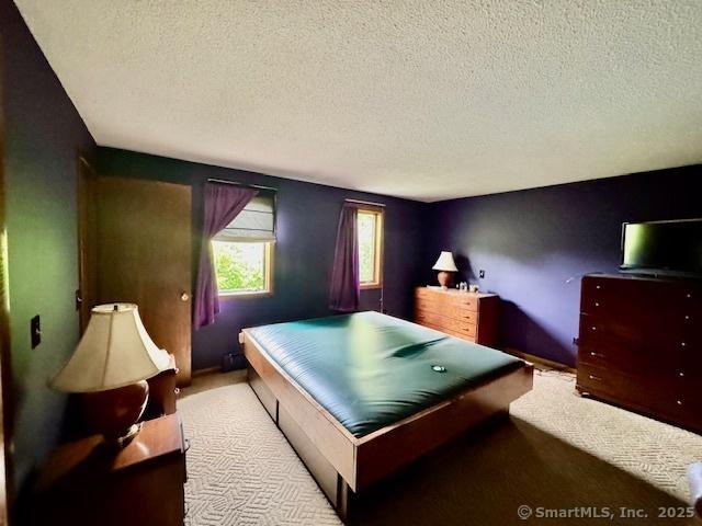 77 Plains Rd, Windham, CT 06280 - playroom with carpet floors and a textured ceiling