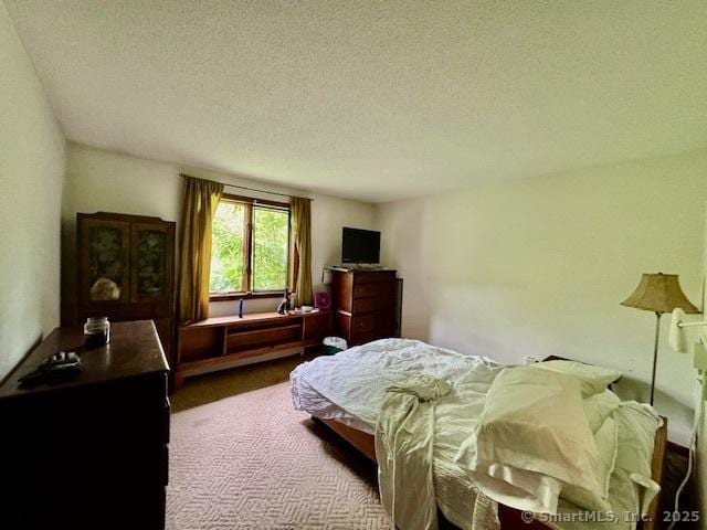 77 Plains Rd, Windham, CT 06280 - carpeted bedroom featuring a textured ceiling