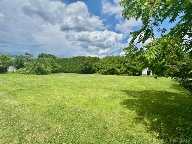 77 Plains Rd, Windham, CT 06280 - view of grassy yard with a view of trees