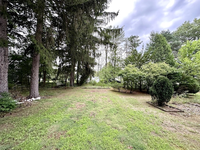 23 S Elm St, Windsor Locks, CT 06096 - view of grassy yard