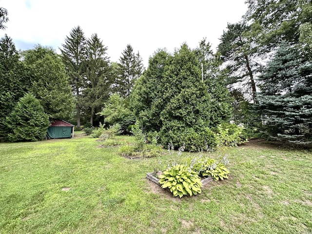 23 S Elm St, Windsor Locks, CT 06096 - view of grassy yard with a garden and a storage unit