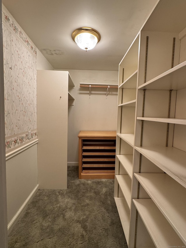 23 Mountain Rd, Mansfield, CT 06250 - spacious closet with carpet