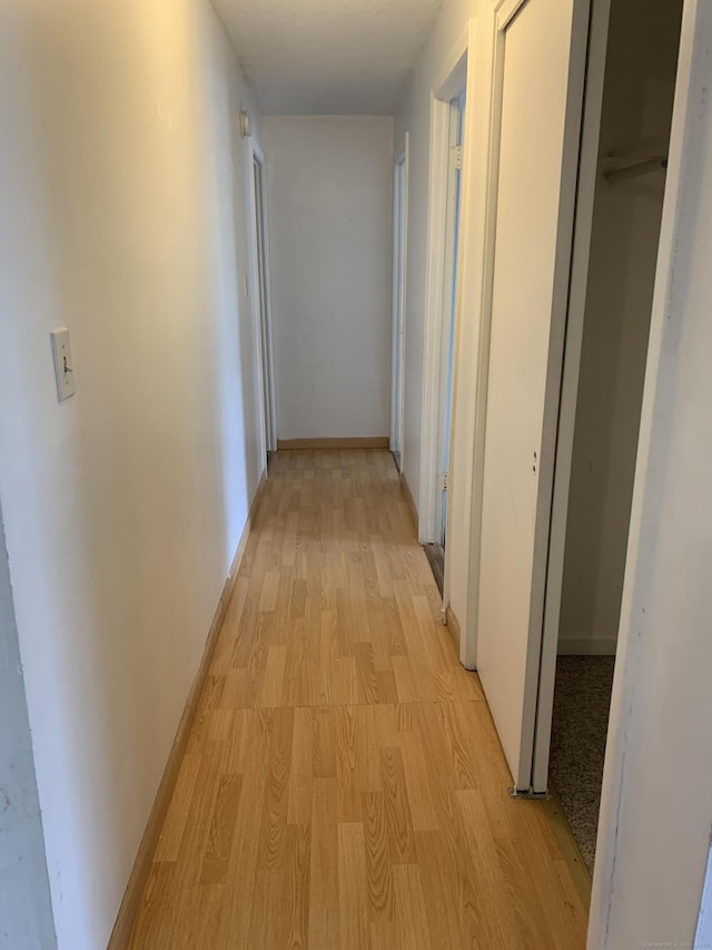 90 Kane St Apt C3, West Hartford, CT 06119 - hall with light wood-style floors