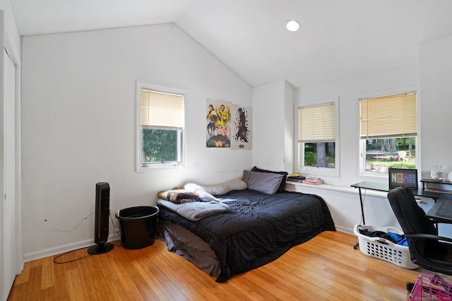 5 Legion Rd, Seymour, CT 06483 - bedroom featuring wood finished floors and vaulted ceiling