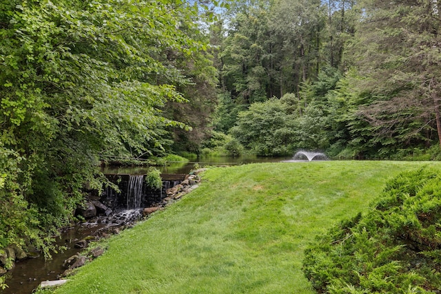 28 Biltmore Park Unit 28, Bloomfield, CT 06002 - view of grassy yard with a water view and a wooded view