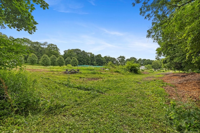 28 Biltmore Park Unit 28, Bloomfield, CT 06002 - view of yard
