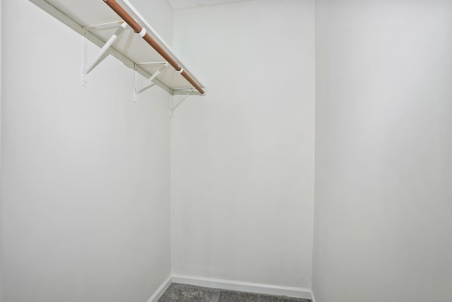 34A Padanaram Ave Unit 120, Danbury, CT 06811 - spacious closet with carpet floors