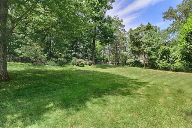 355 Surrey Ln, Fairfield, CT 06824 - view of green lawn