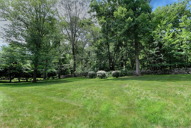 355 Surrey Ln, Fairfield, CT 06824 - view of green lawn