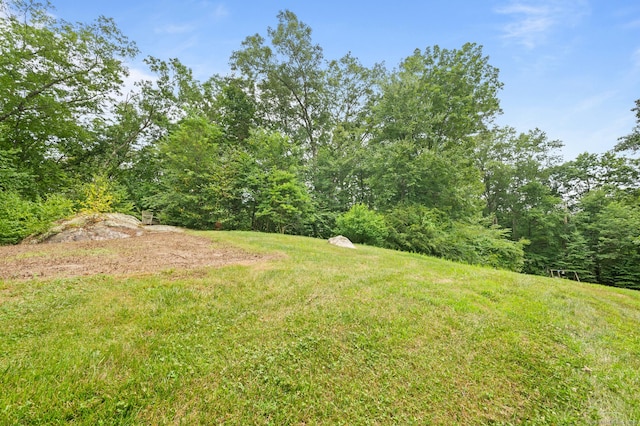 70 Shane Dr, Southbury, CT 06488 - view of yard featuring a view of trees