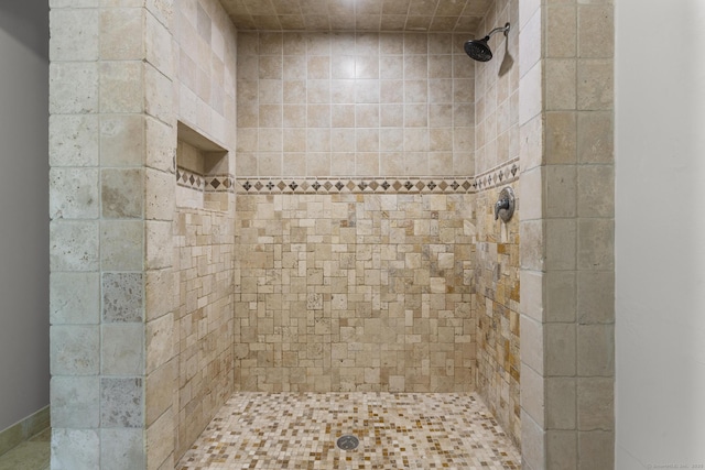 286 Marlborough St, Portland, CT 06480 - bathroom with a tile shower
