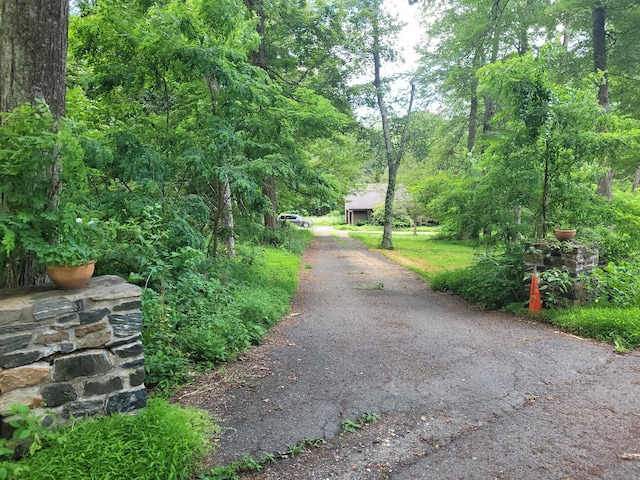 1 Kaylyn Ln, Sherman, CT 06784 - view of asphalt driveway