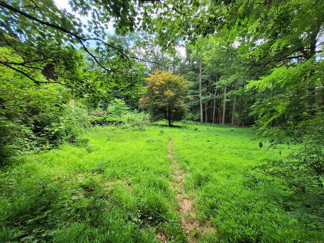 1 Kaylyn Ln, Sherman, CT 06784 - view of yard featuring a forest view