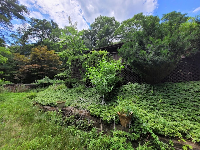 1 Kaylyn Ln, Sherman, CT 06784 - view of yard