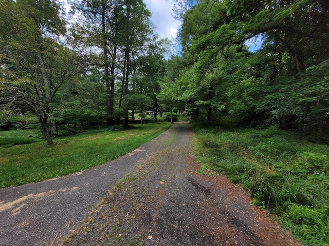 1 Kaylyn Ln, Sherman, CT 06784 - view of road featuring a wooded view