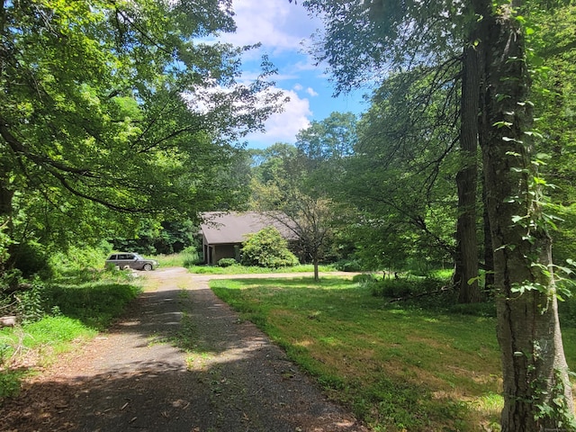 1 Kaylyn Ln, Sherman, CT 06784 - view of dirt / gravel road featuring a wooded view