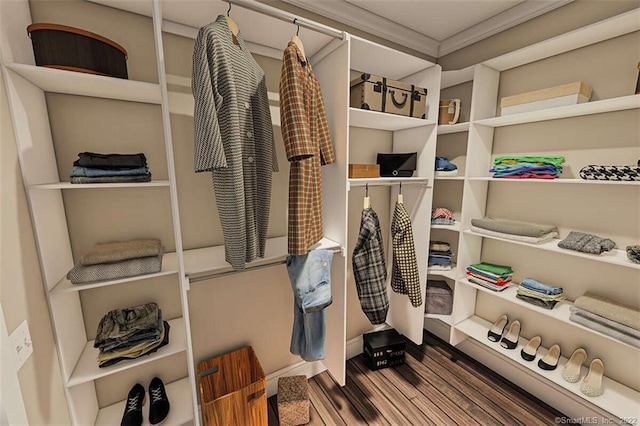 365 Cranberry Bog Rd, Killingly, CT 06239 - walk in closet featuring wood finished floors