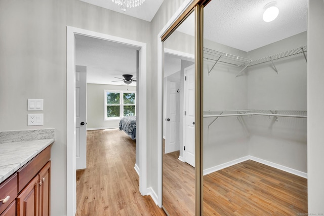 233 Mansfield Grove Rd Unit 306, East Haven, CT 06512 - walk in closet with light wood-type flooring and ceiling fan