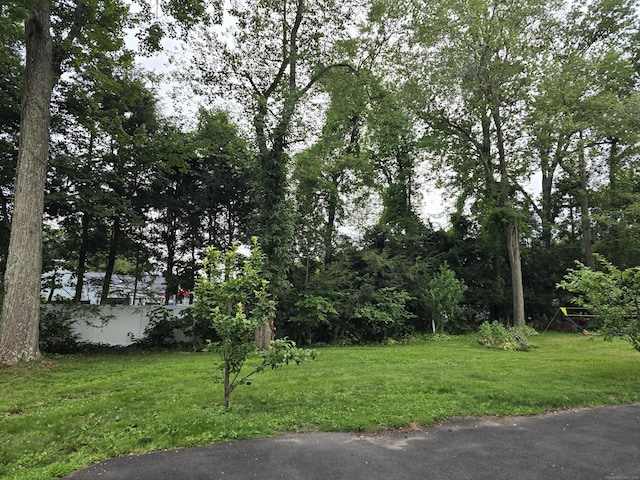 1190 Meriden Rd, Waterbury, CT 06705 - view of green lawn