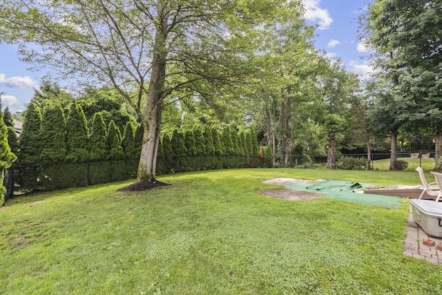 1182 N Main St, West Hartford, CT 06117 - view of fenced backyard
