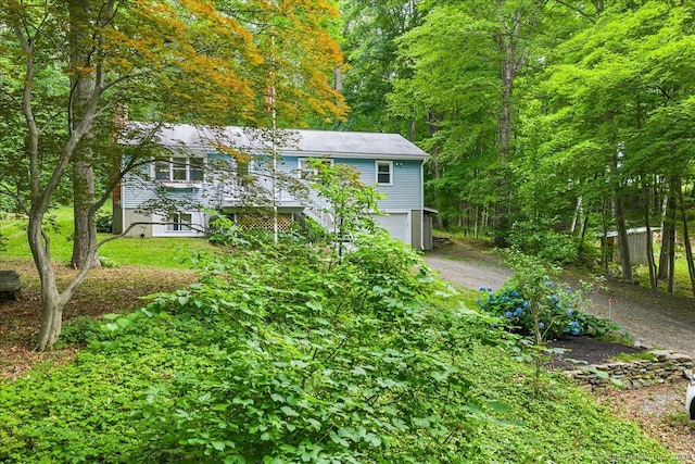 46 Union Dr, Ashford, CT 06278 - view of yard featuring driveway, a garage, and a view of trees