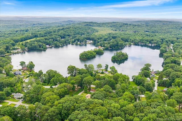 46 Union Dr, Ashford, CT 06278 - aerial view of a nearby body of water
