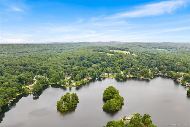 46 Union Dr, Ashford, CT 06278 - drone / aerial view of a forest and a water and mountain view