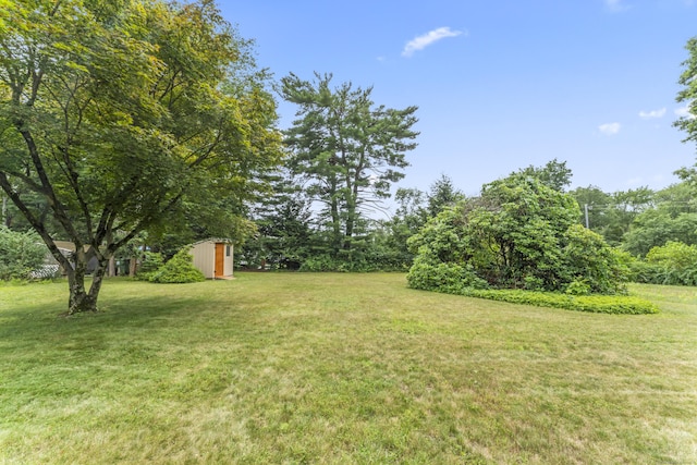 119 Debra Ln, Bristol, CT 06010 - view of grassy yard featuring a storage shed