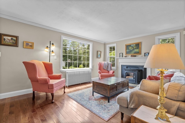 50 Spring Glen Dr, Granby, CT 06035 - living area featuring radiator, ornamental molding, healthy amount of natural light, hardwood / wood-style flooring, and a fireplace