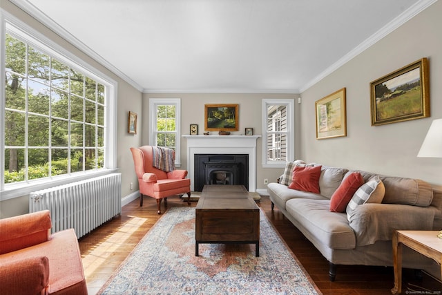 50 Spring Glen Dr, Granby, CT 06035 - living room featuring radiator heating unit, ornamental molding, and wood finished floors