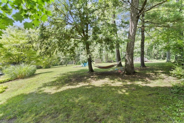 50 Spring Glen Dr, Granby, CT 06035 - view of grassy yard
