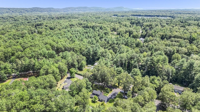 50 Spring Glen Dr, Granby, CT 06035 - aerial view of property and surrounding area with a forest