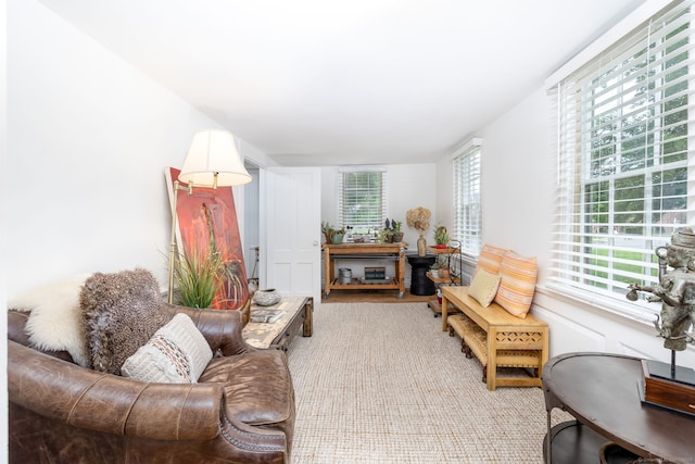 319 Main St, Wethersfield, CT 06109 - view of living area