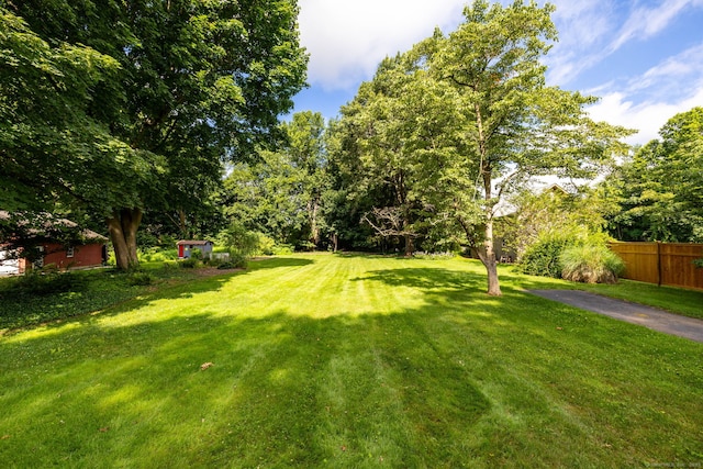 319 Main St, Wethersfield, CT 06109 - view of yard