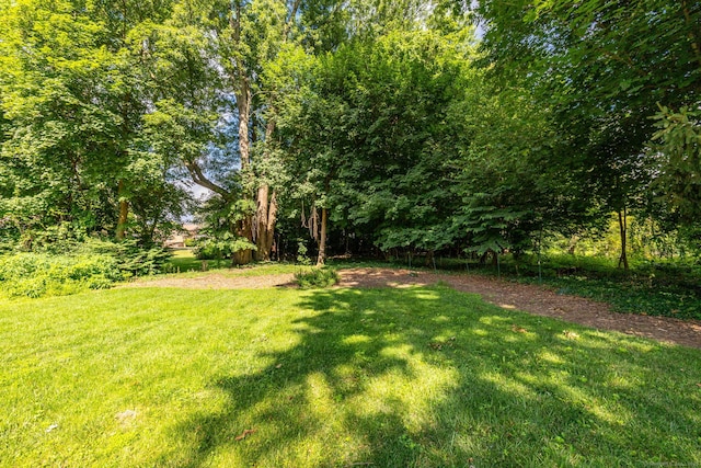 319 Main St, Wethersfield, CT 06109 - view of green lawn