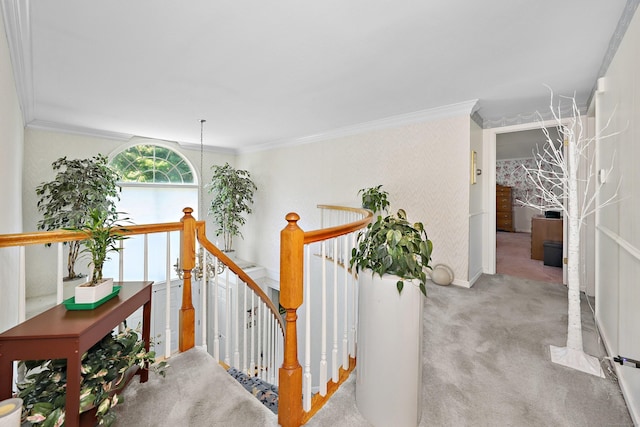 21 Hidden Pond Dr, Watertown, CT 06795 - hallway with carpet flooring, ornamental molding, and an upstairs landing