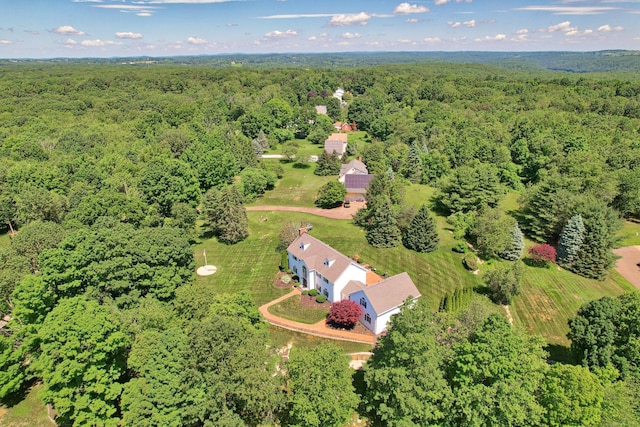 21 Hidden Pond Dr, Watertown, CT 06795 - drone / aerial view of a forest