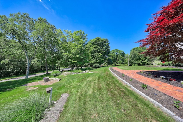 21 Hidden Pond Dr, Watertown, CT 06795 - view of grassy yard