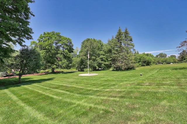 21 Hidden Pond Dr, Watertown, CT 06795 - view of green lawn