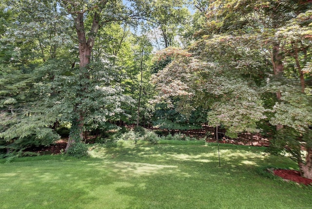 20 Benson Dr, Danbury, CT 06810 - photo 36