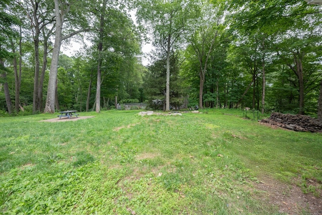 16 Skidmore Ln, Newtown, CT 06482 - view of yard