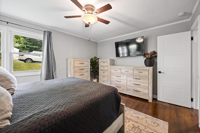 96 Douglas Dr, Meriden, CT 06451 - bedroom featuring dark wood-style flooring, ornamental molding, and a ceiling fan