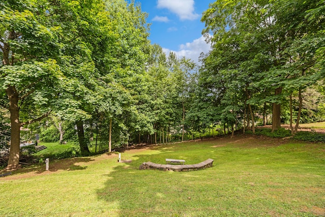 96 Douglas Dr, Meriden, CT 06451 - view of grassy yard