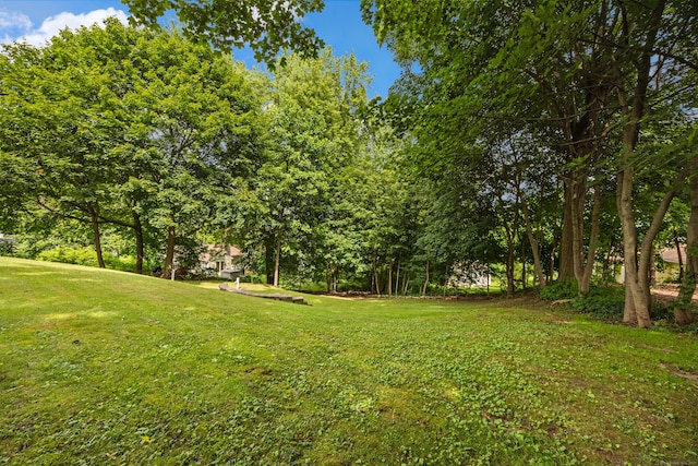 96 Douglas Dr, Meriden, CT 06451 - view of green lawn