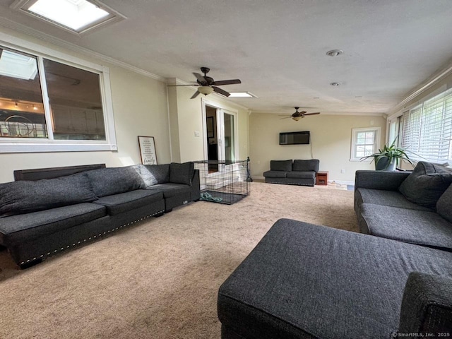 860 Suffield St, Suffield, CT 06078 - living room featuring carpet floors, ornamental molding, and ceiling fan
